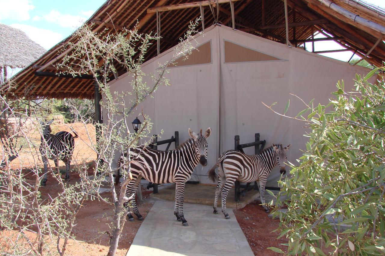 Maneaters Villa Tsavo Exterior photo